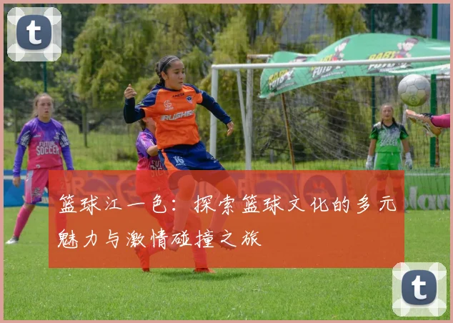 篮球江一色：探索篮球文化的多元魅力与激情碰撞之旅