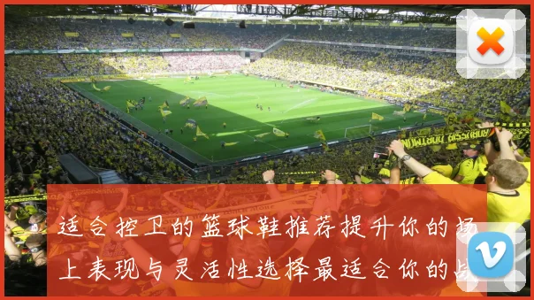 适合控卫的篮球鞋推荐提升你的场上表现与灵活性选择最适合你的战靴